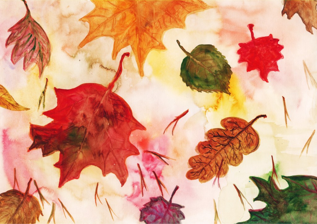 leaf-889200
