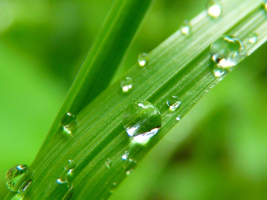 drop-of-water-7720_1280